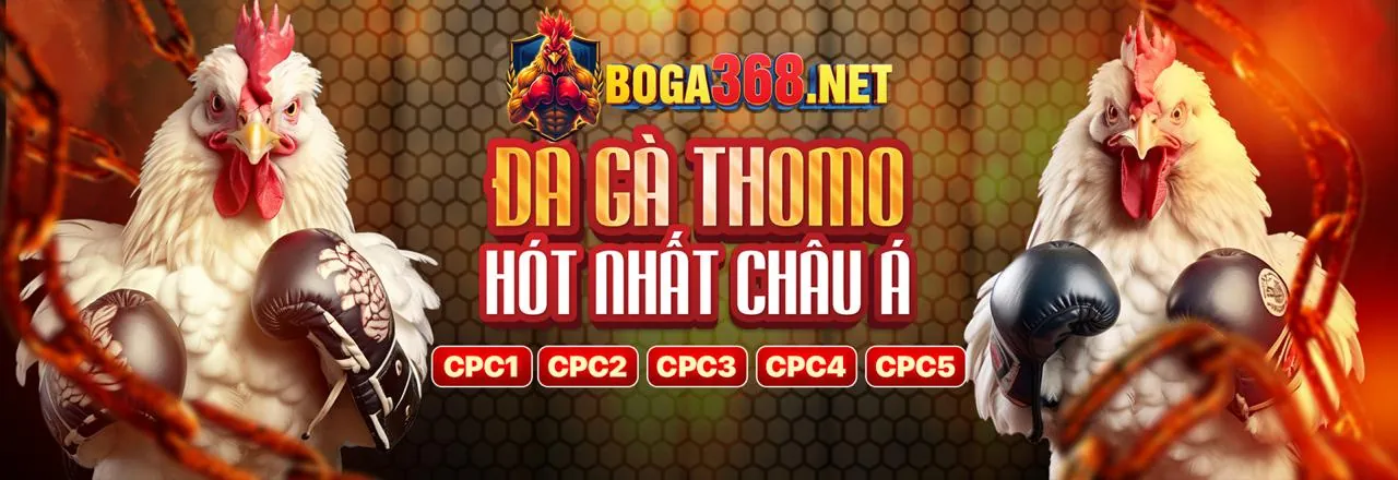 Biểu đồ chiến lược Sic Bo nâng cao với các mẫu cược